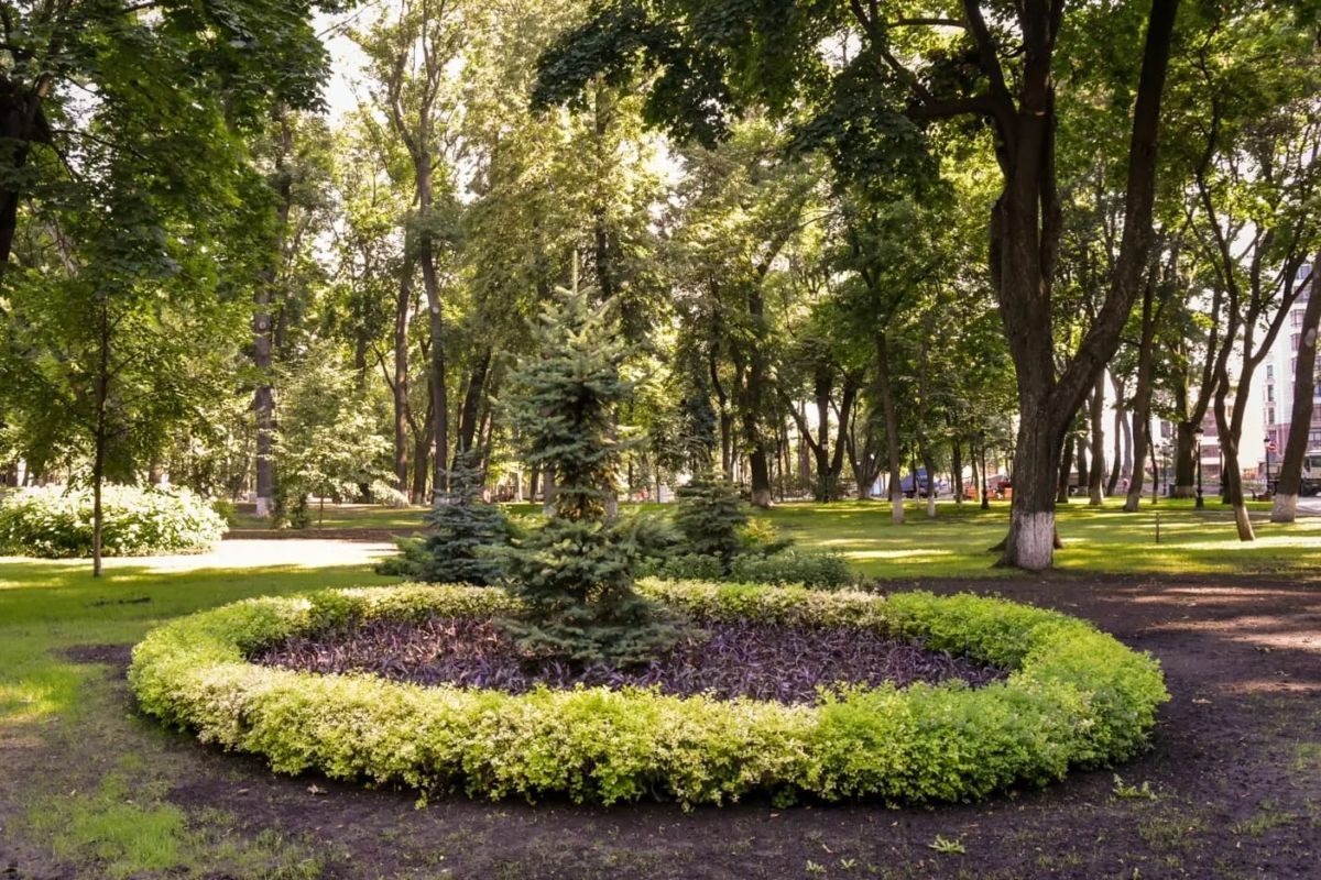 Маріїнський парк