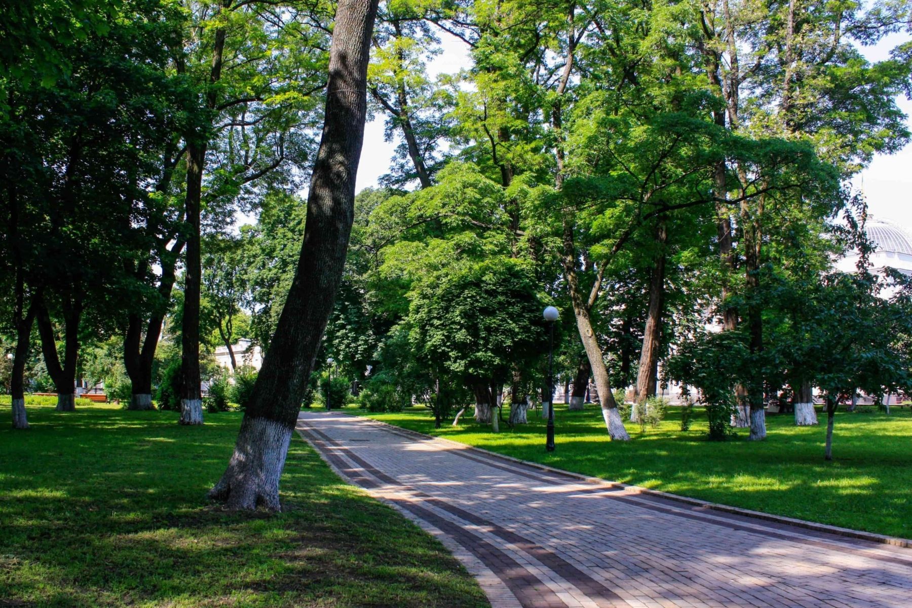 Маріїнський парк як доїхати