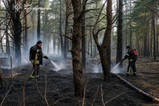 ДСНС загасила масштабну пожежу на півночі області