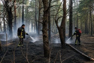 ГСЧС потушила масштабный пожар на севере области