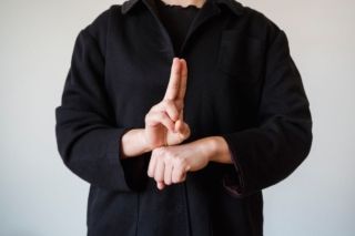 конституция украины на жестовом языке