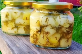 Кабачки як гриби на зиму рецепт: як приготувати смачну закуску
