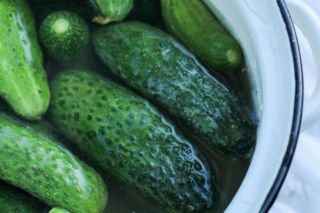 зачем замачивать огурцы