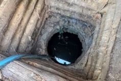 Массовое заболевание детей после отдыха в Закарпатье