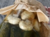 Огурцы с шампиньонами на зиму: двойная вкуснота в одной банке