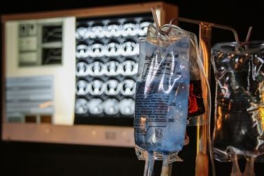 Хантавірус у Львові та області: що потрібно знати про небезпечну інфекцію