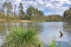 парк пуща водиця що подивитися