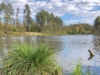 Парк Пуща-Водица в Киеве: как старинный дачный курорт стал любимым парком киевлян