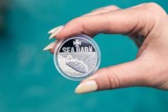 Нова пам'ятна монета Морський дрон від НБУ: скільки коштує Sea Baby