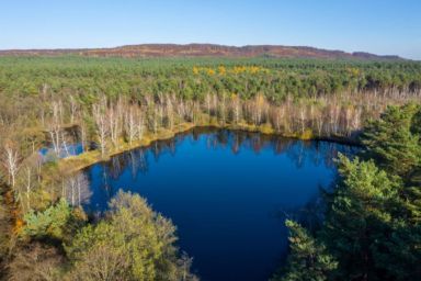 яворовский парк на львовщине