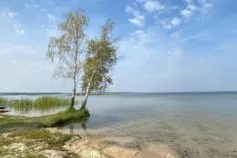 шацький парк
