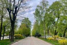 Шодуарівський парк (парк Гагаріна) у Житомирі: історія, цікаві локації та де знаходиться