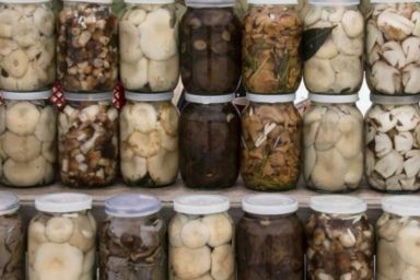 как консервировать грибы на зиму