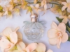От абсолютной свежести до пряностей: гайд по лучшим композициям Essential Parfums