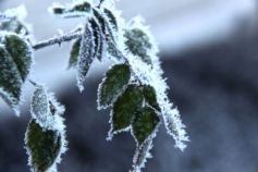 Прогноз погоды в Киеве на ноябрь 2026