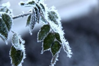 Прогноз погоди в Києві на листопад 2026