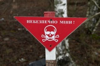 Двоє підлітків загинули після детонації небезпечного предмета на Сумщині