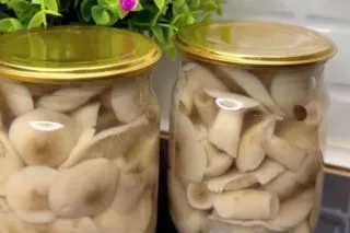 Опята на зиму: вкусный рецепт