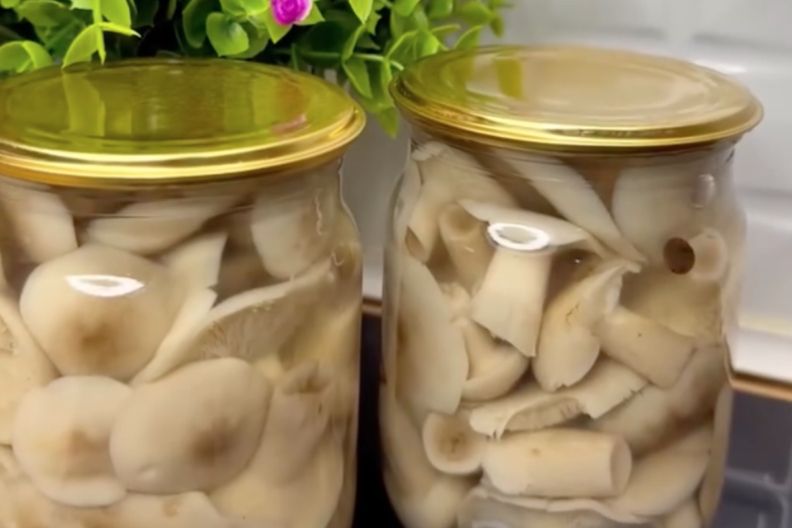 Маринованные опята на зиму: 3 вкусных рецепта Опята на зиму: вкусный рецепт