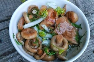 Как засолить грузди