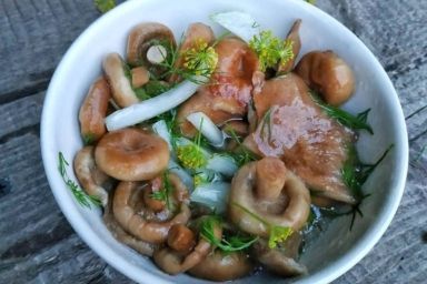 Как засолить грузди